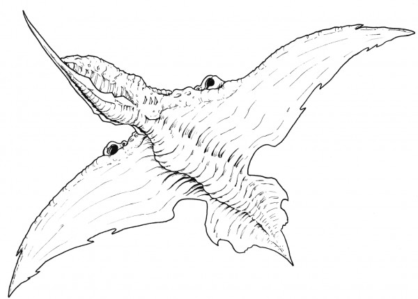Skor coloring page image