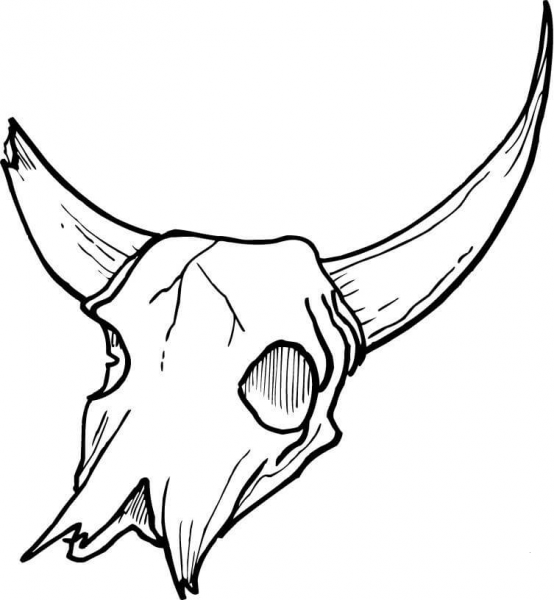 Skull Bone coloring page image