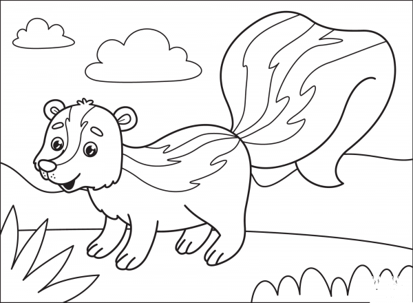Skunk coloring page image