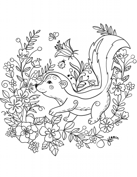 Skunk coloring page image