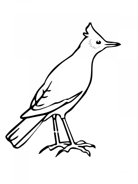 Skylark coloring page image