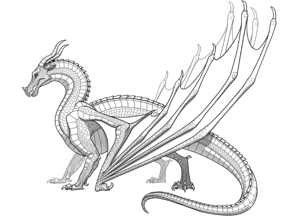 Skywing Dragon from Wings of Fire coloring page image