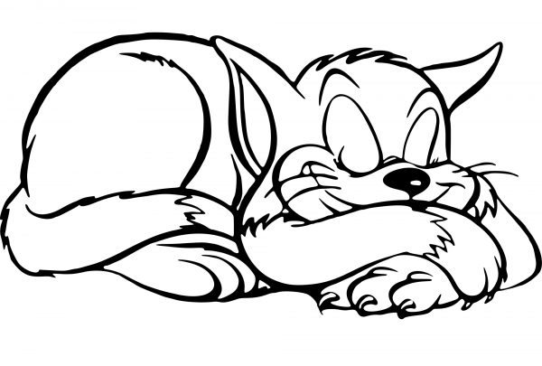 Sleeping Cat coloring page image
