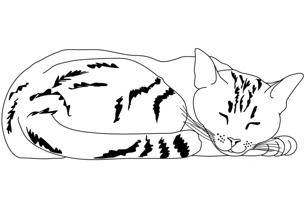 Sleeping Striped Cat coloring page image