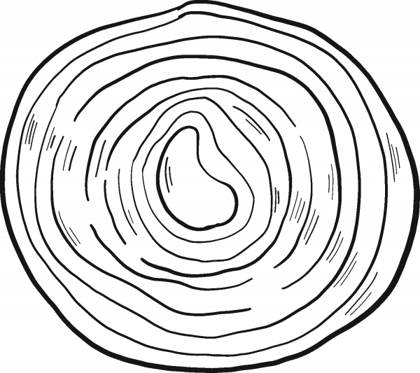 Slice of Onion coloring page image