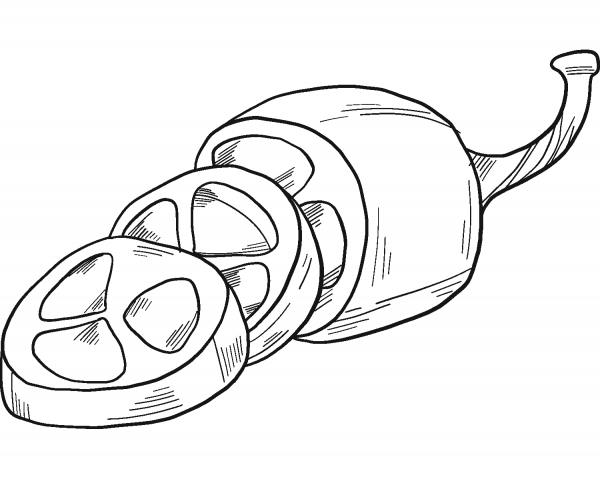 Sliced Jalapeno coloring page image
