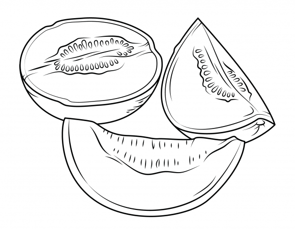 Sliced Melon coloring page image