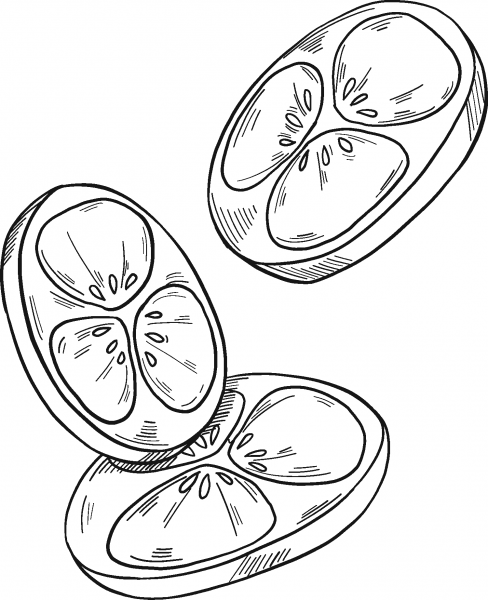 Sliced Tomato coloring page image
