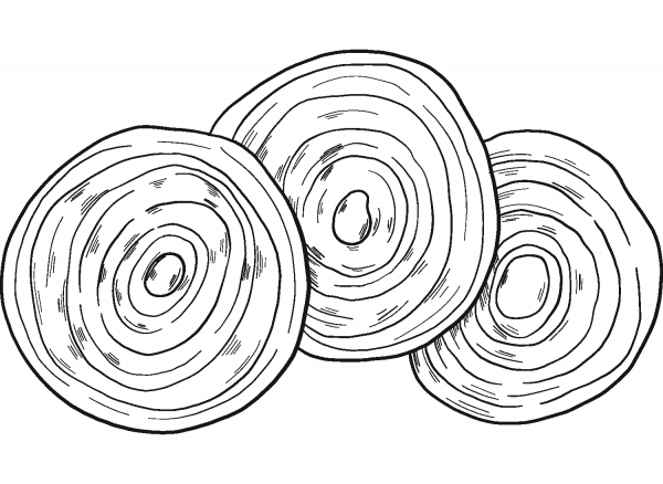 Slices of Onion coloring page image