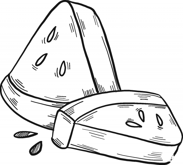 Slices of Watermelon coloring page image