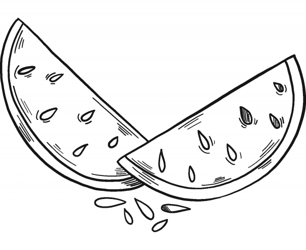 Slices of Watermelon coloring page image