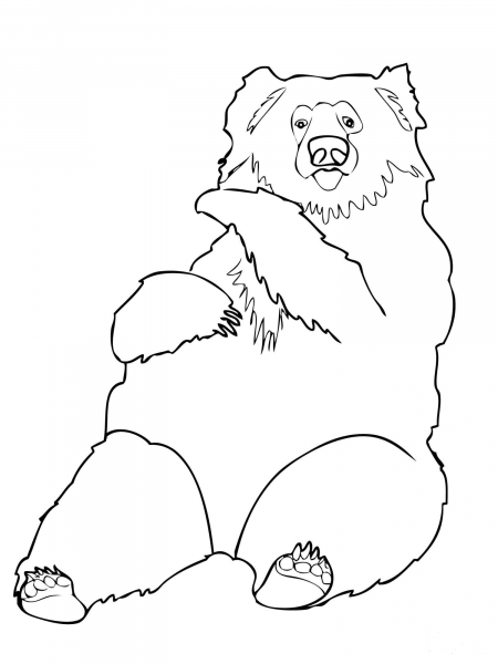 Sloth Bear from India coloring page image