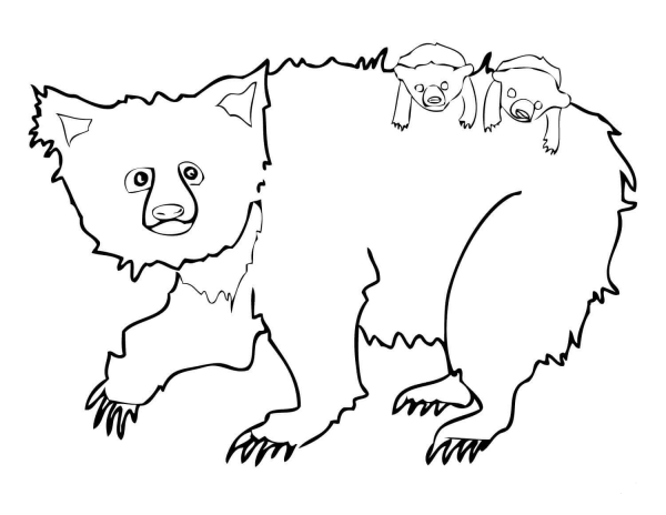 Sloth Bear Mother and Two Cubs coloring page image