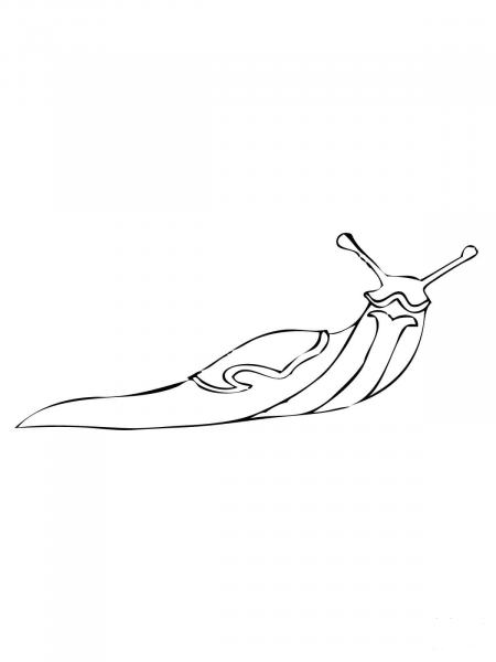 Slug coloring page image