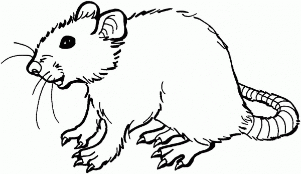 Smiling Rat coloring page image