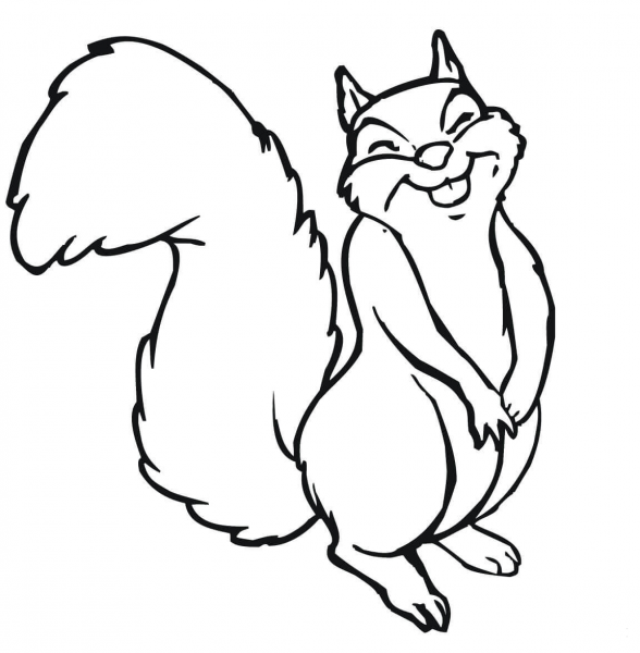 Smiling Squirrel coloring page image