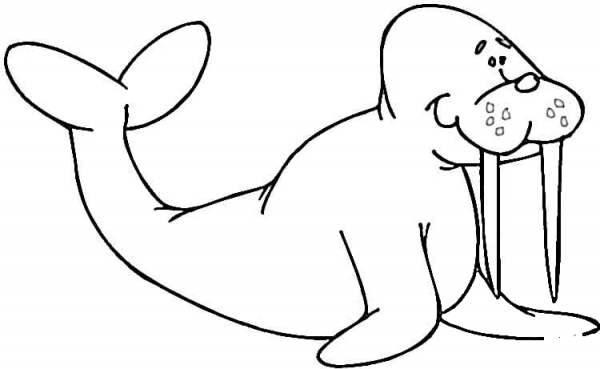 Smiling Walrus  coloring page image