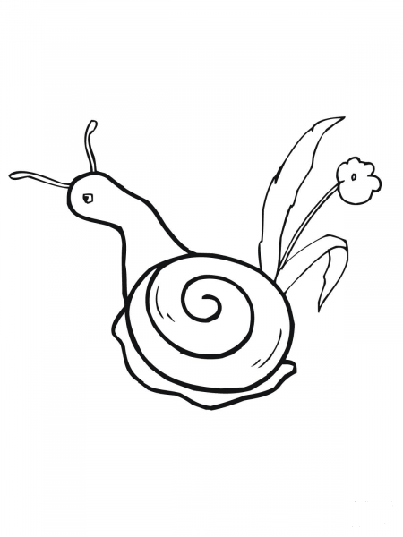Snail and Flower coloring page image