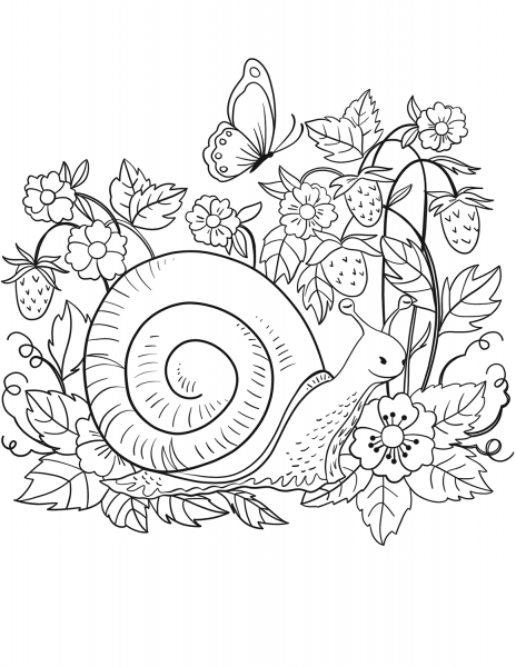 Snail coloring page image