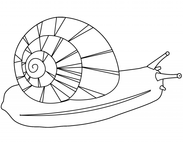 Snail coloring page image