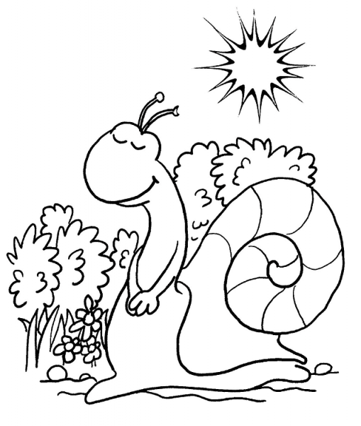 Snail Is Taking Rest  coloring page image