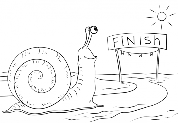 Snail Reaching Finish Line coloring page image