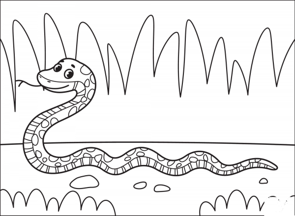 Snake coloring page image
