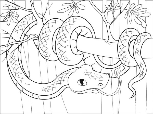 Snake coloring page image