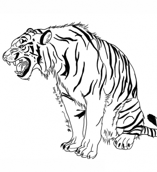 Snarling Tiger coloring page image