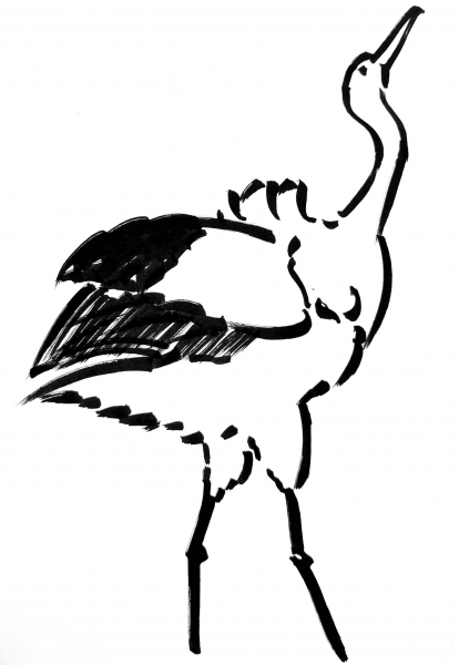 Some Kind of Bird coloring page image