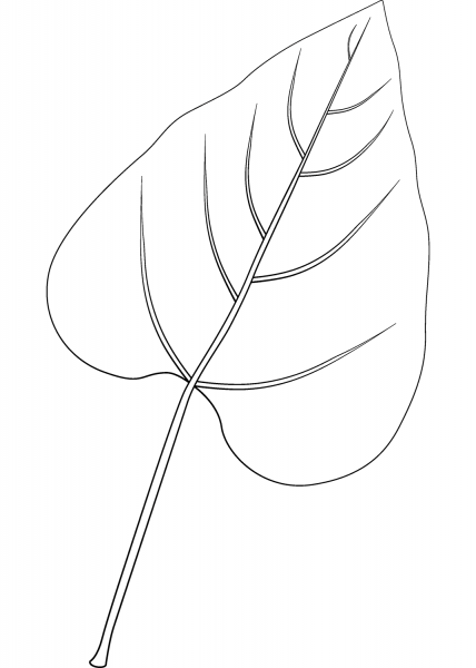 Southern Catalpa Leaf coloring page image