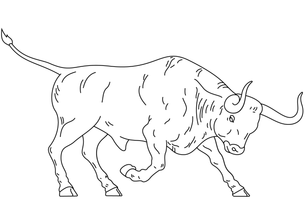 Spanish Fighting Bull coloring page image