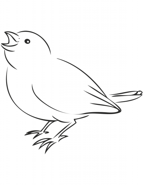 Sparrow coloring page image