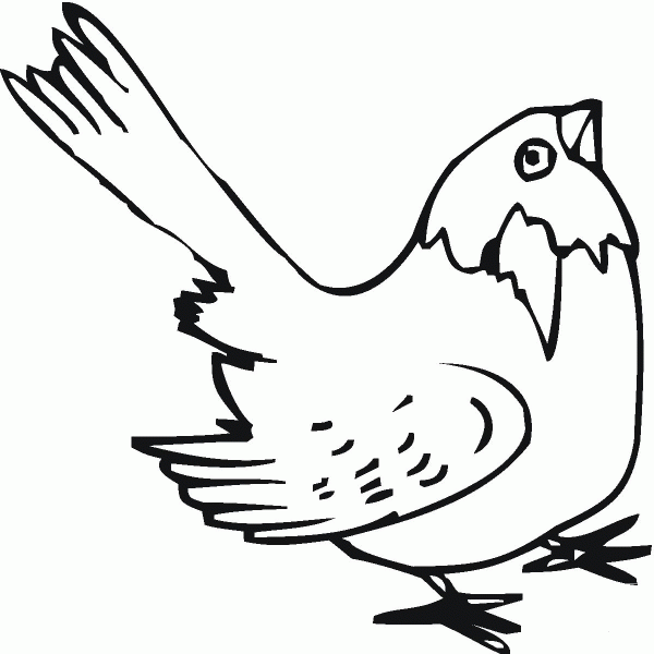 Sparrow coloring page image