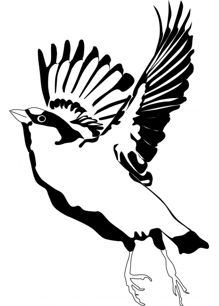 Sparrow in Flight coloring page image