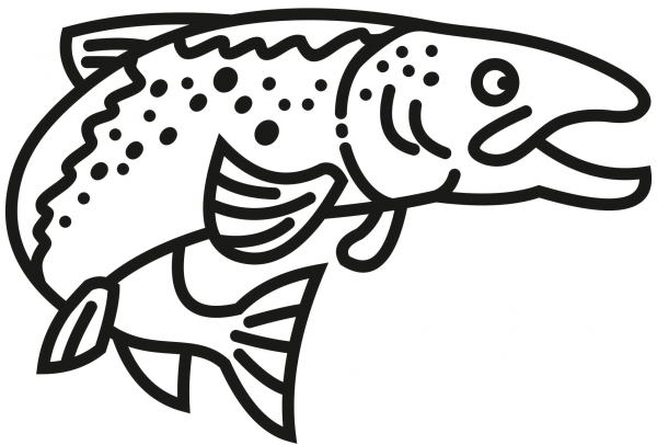 Speckled Trout coloring page image