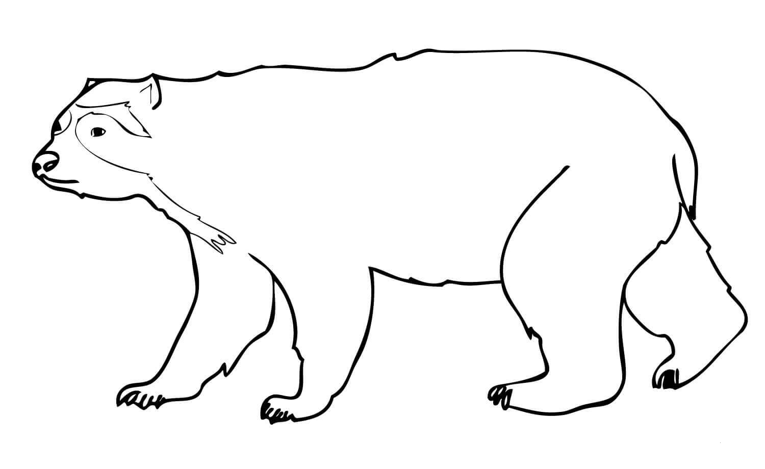 Spectacled Andean Bear coloring page - ColouringPages