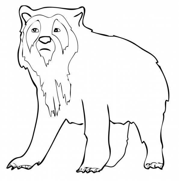 Spectacled Bear coloring page image
