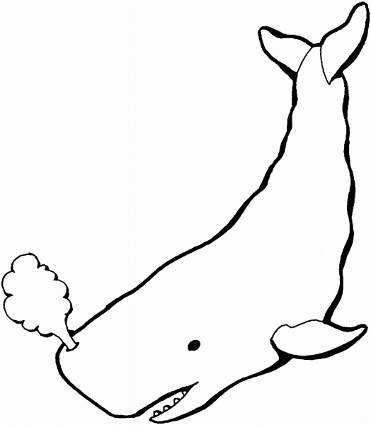 Sperm Whale coloring page image