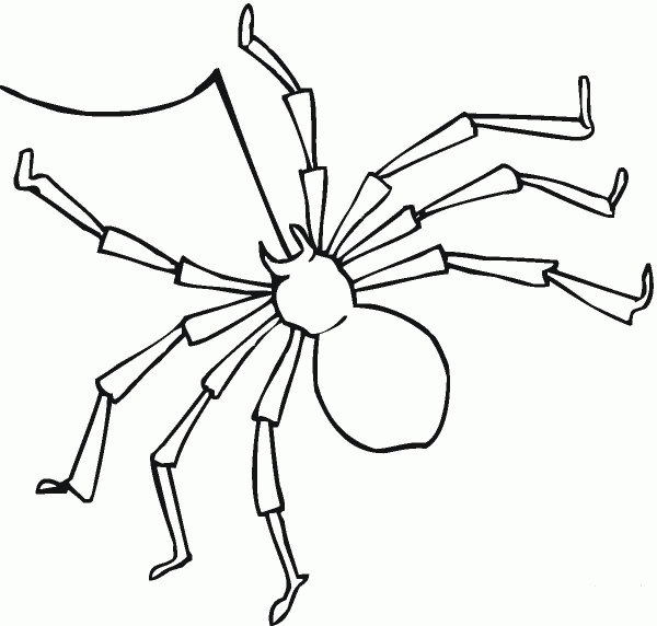 Spider 10 coloring page image