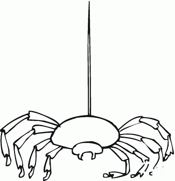 Spider 11 coloring page image