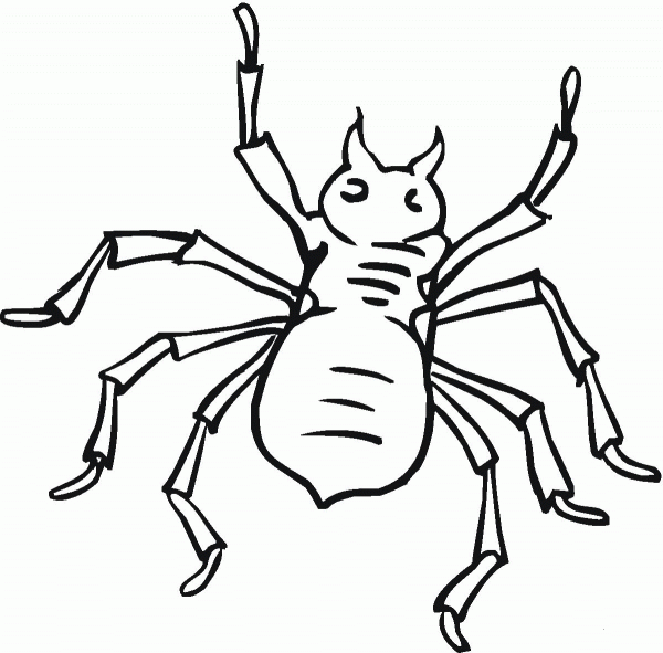 Spider 22 coloring page image