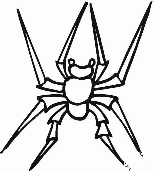 Spider 9 coloring page image