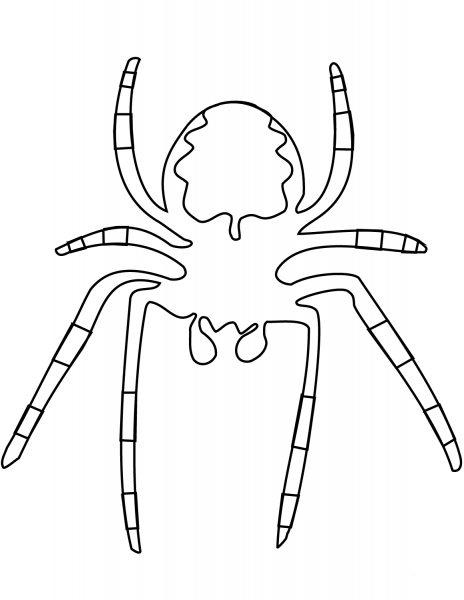 Spider coloring page image