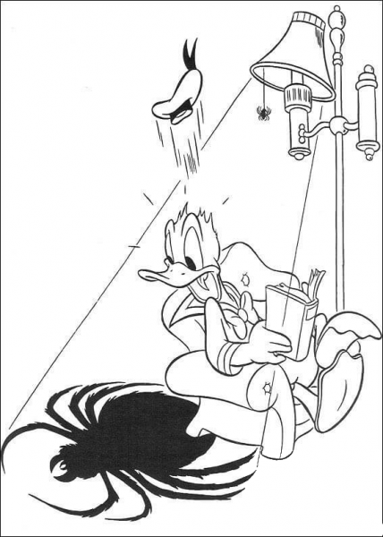Spider  coloring page image