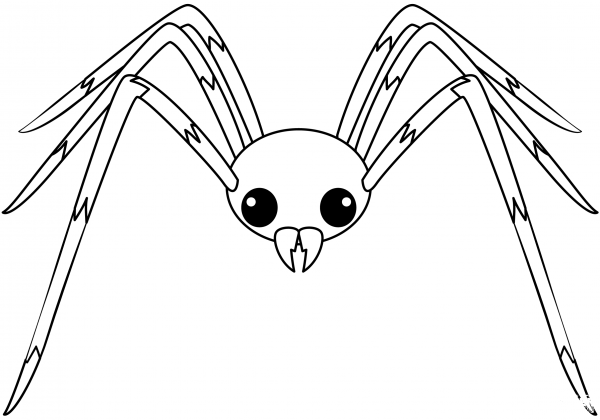 Spider coloring page image