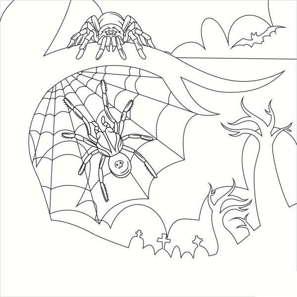 Spider coloring page image