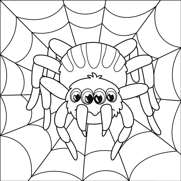 Spider coloring page image