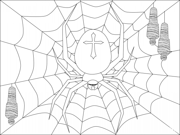 Spider coloring page image