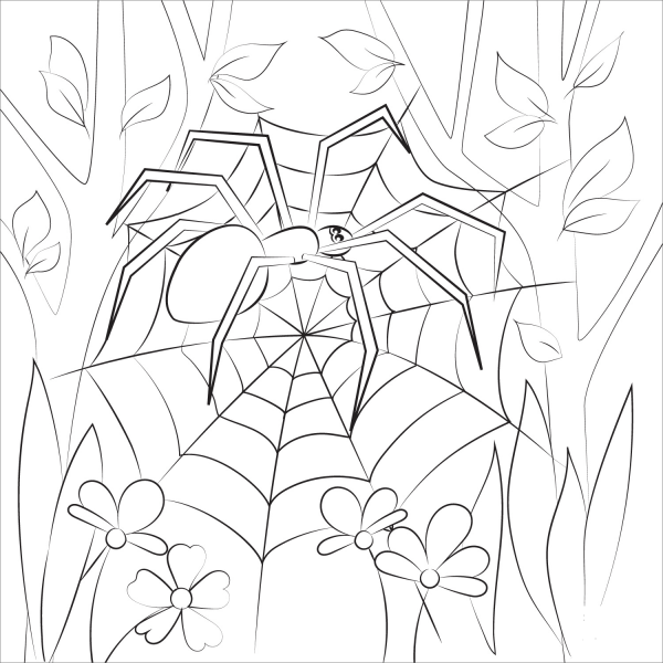 Spider coloring page image